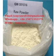 Bodybuilding SARMs Powder